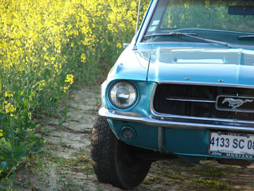 ford mustang 289ci