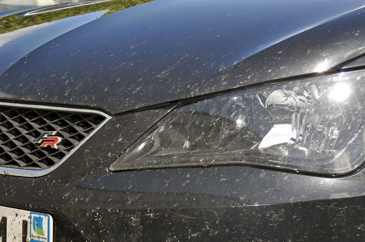 Quels nettoyants pour raviver les plastiques de sa voiture ?